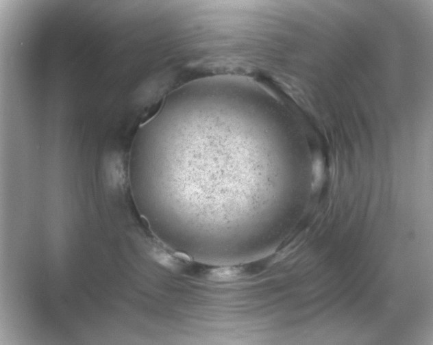 X0000068850335200605051219