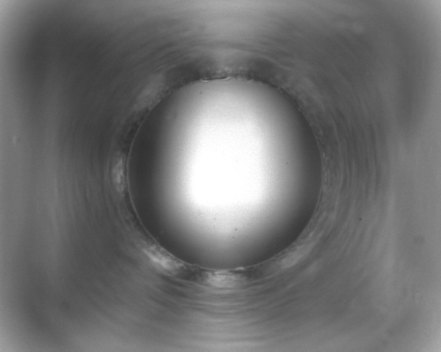 X0000068850336200605051219