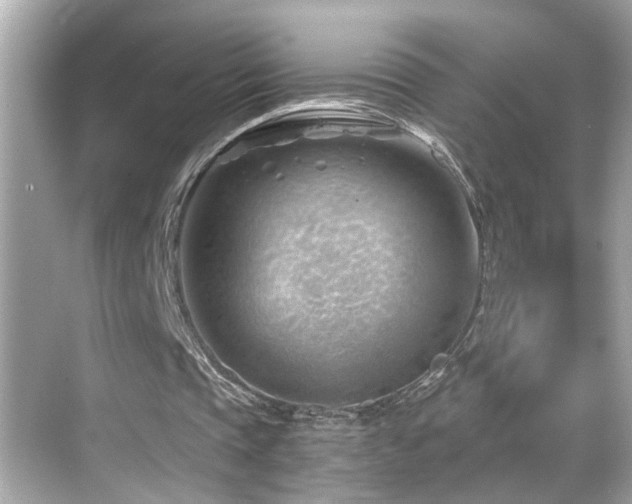 X0000068850337200605051218