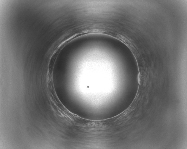 X0000068850338200605051218