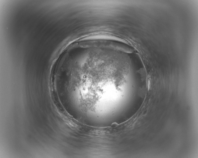 X0000068850339200605051218