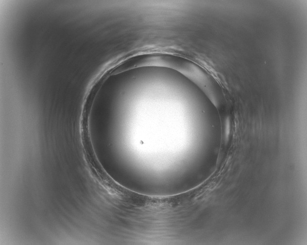 X0000068850340200605051218