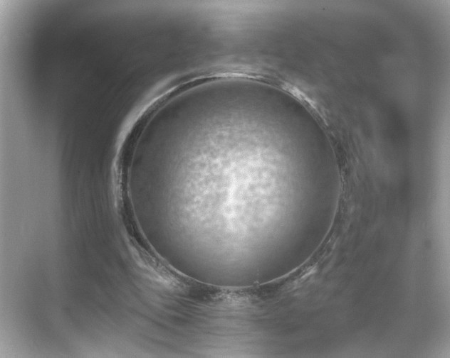 X0000068850343200605051218