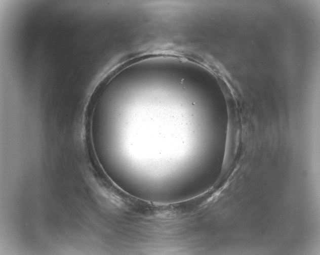 X0000068850344200605051218