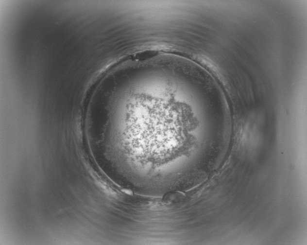 X0000068850345200605051218