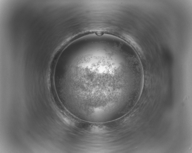 X0000068850346200605051218