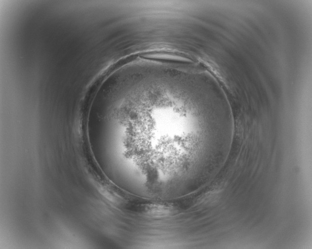 X0000068850347200605051218