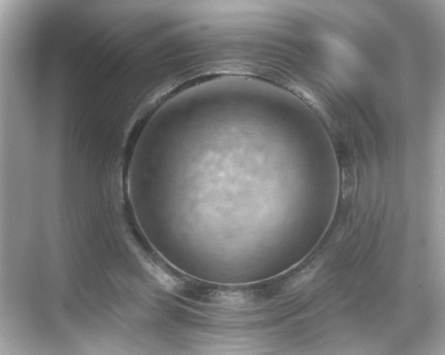 X0000068850349200605051218