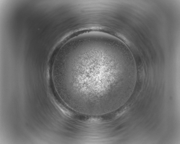 X0000068850350200605051218