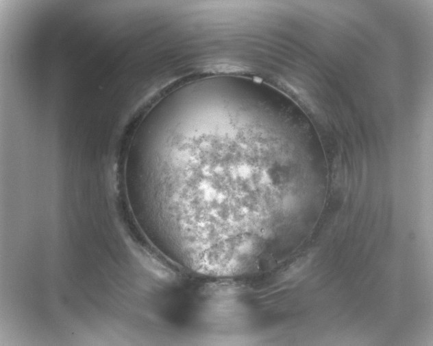 X0000068850351200605051218