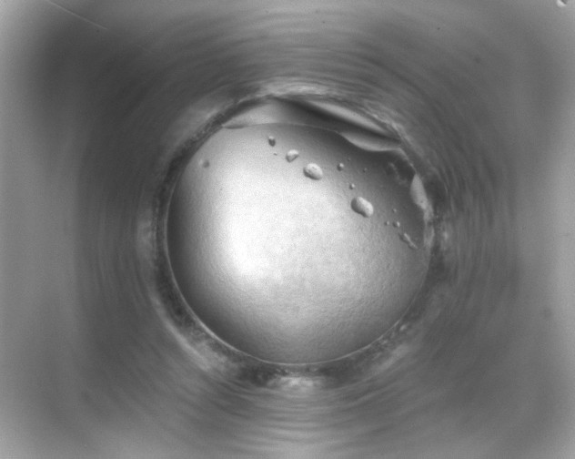 X0000068850352200605051218