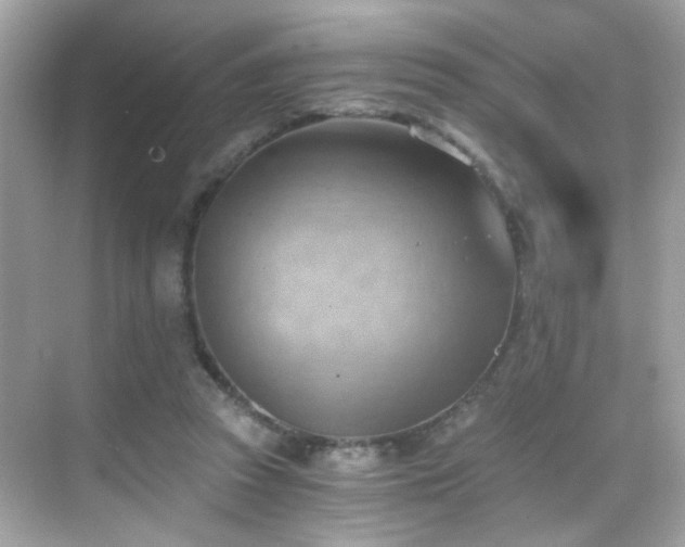 X0000068850353200605051218