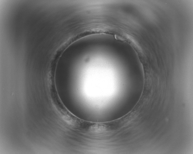 X0000068850354200605051218