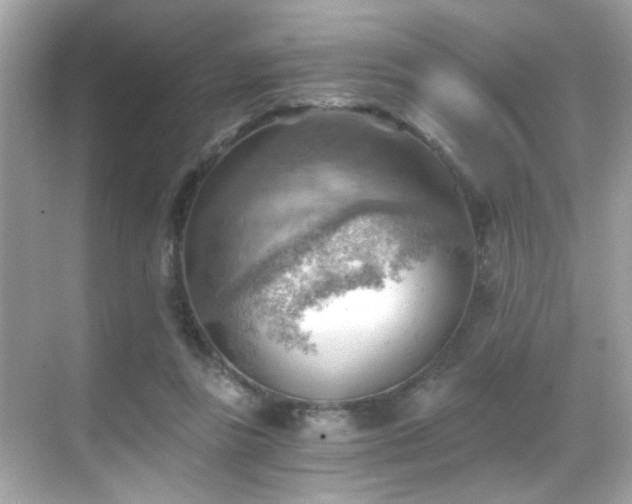 X0000068850355200605051218