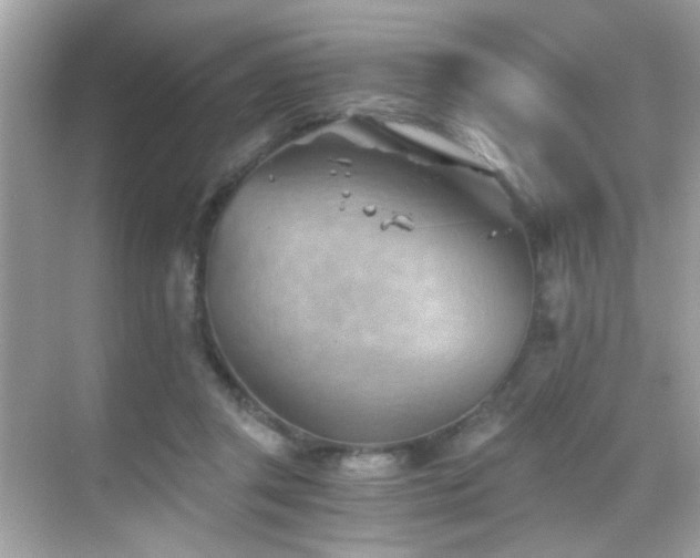 X0000068850357200605051218