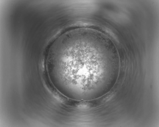 X0000068850358200605051219