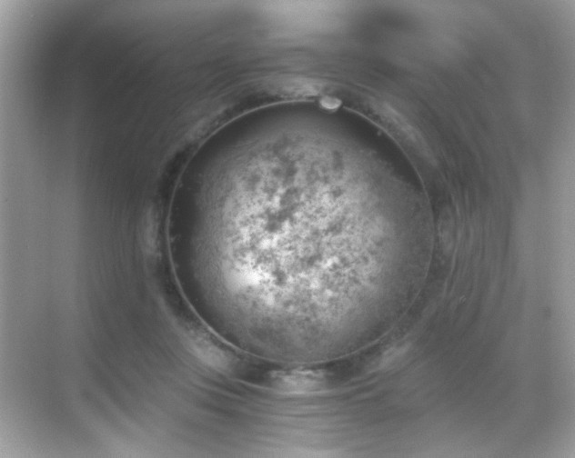 X0000068850359200605051219