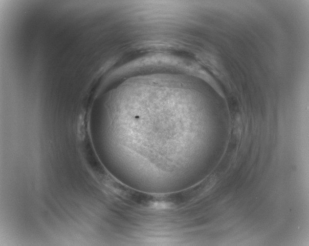 X0000068850360200605051219