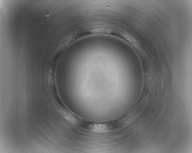 X0000068850361200605051219