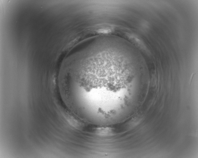 X0000068850363200605051219