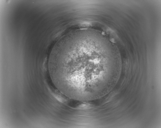 X0000068850364200605051219