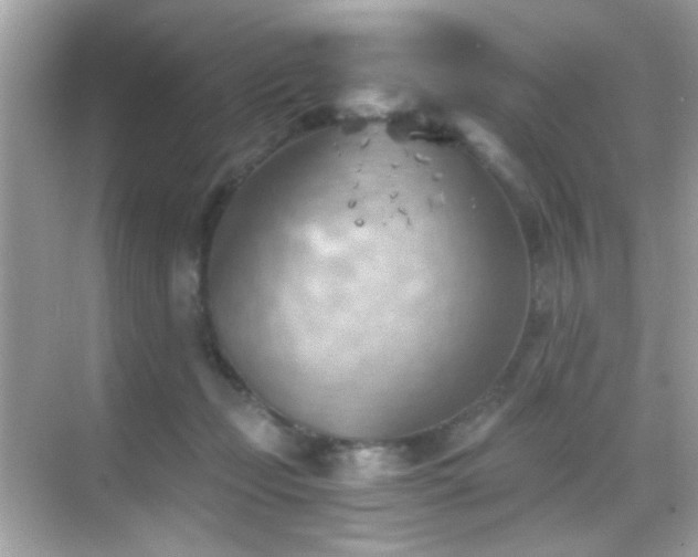 X0000068850365200605051219