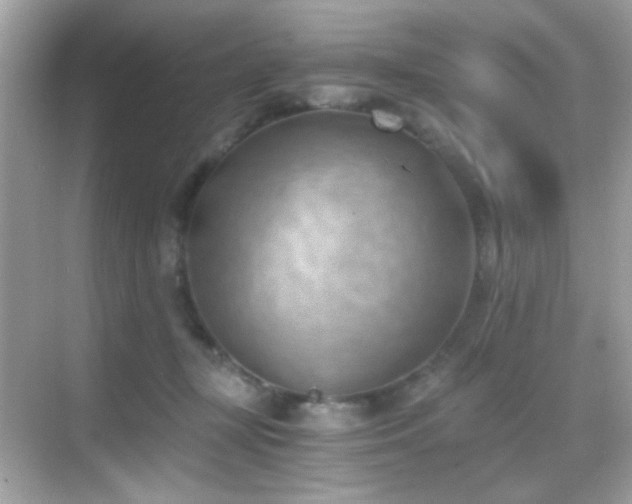 X0000068850367200605051219