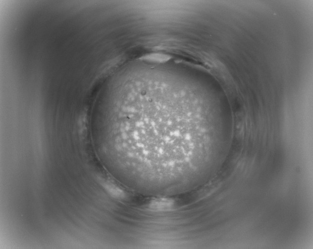 X0000068850369200605051219