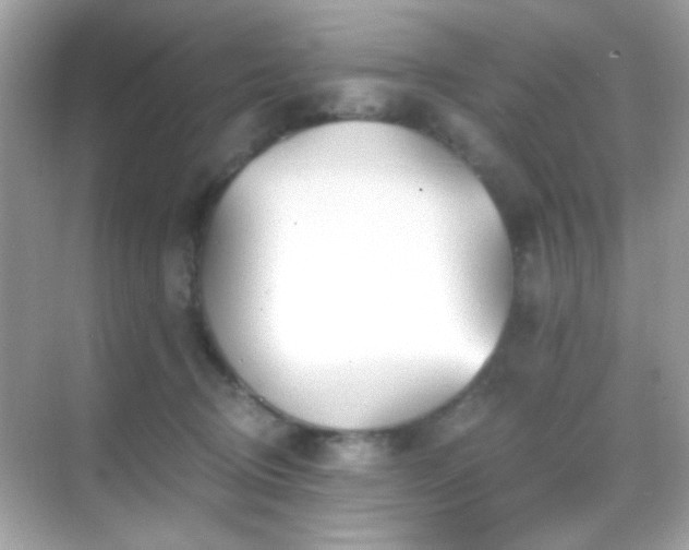 X0000068850370200605051219