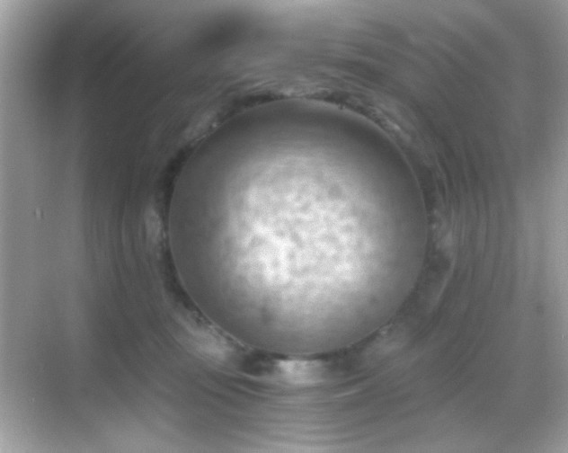 X0000068850371200605051219