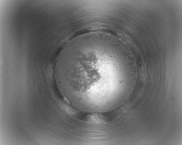 X0000068850372200605051219