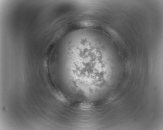 X0000068850373200605051219