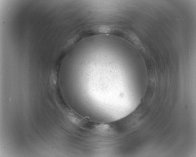 X0000068850374200605051219