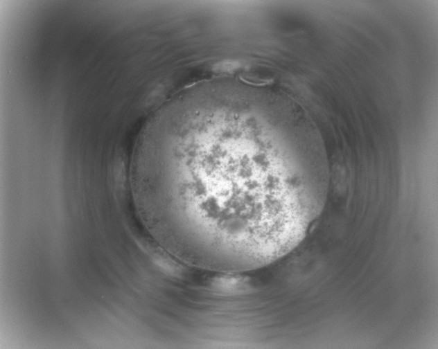 X0000068850375200605051219