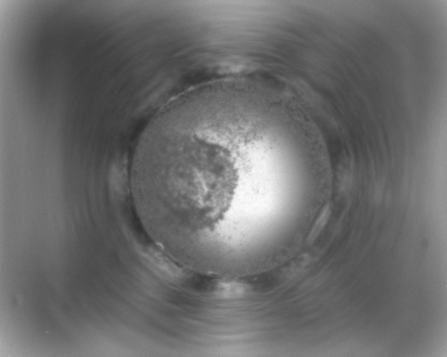 X0000068850376200605051219