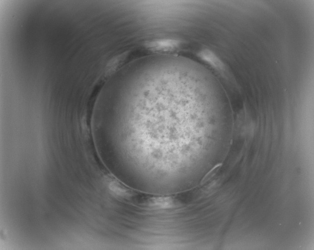 X0000068850377200605051219