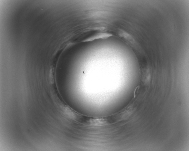 X0000068850378200605051219