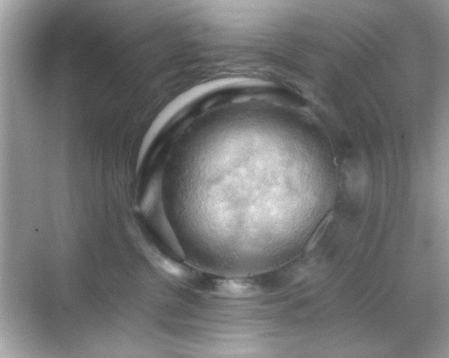 X0000068850380200605051219