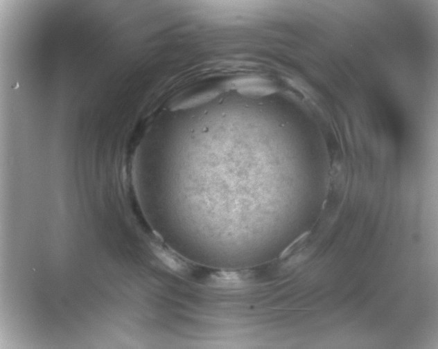 X0000068850381200605051219