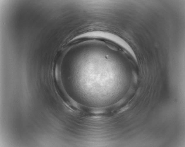 X0000068850382200605051219