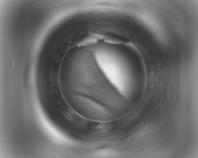 X0000068850383200605051219