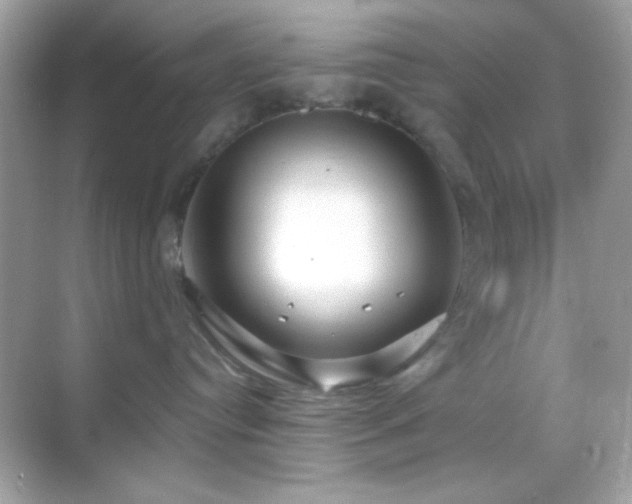 X0000068850384200605051219