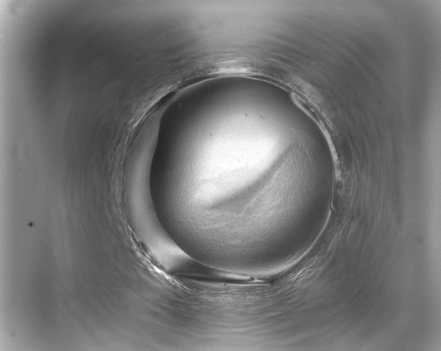 X0000068850385200605051218