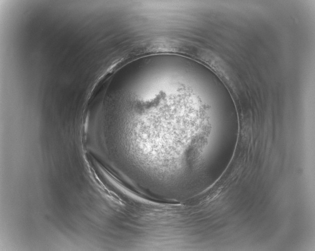 X0000068850386200605051218