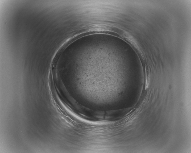 X0000068850387200605051218