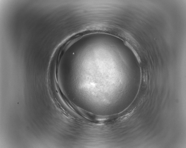 X0000068850388200605051218