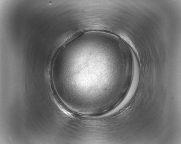 X0000068850389200605051218