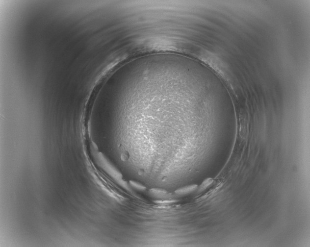 X0000068850390200605051218