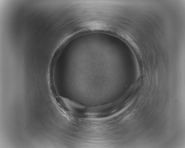 X0000068850391200605051218