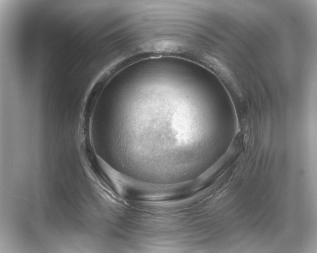 X0000068850392200605051218